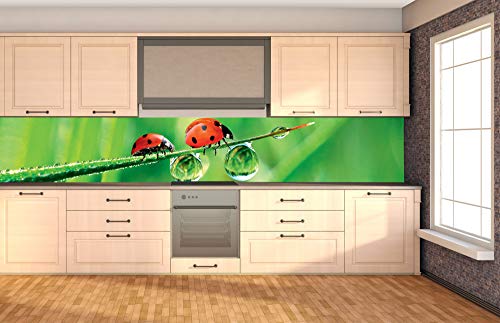 DIMEX Küchenrückwand Folie selbstklebend MARIENKÄFER | Klebefolie - Dekofolie - Spritzschutz für Küche | Made in EU - 350 cm x 60 cm von DIMEX