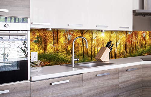 Dimex Küchenrückwand Folie selbstklebend SONNIGER Wald | Klebefolie - Dekofolie - Spritzschutz für Küche | Made in EU - 260 cm x 60 cm von Dimex