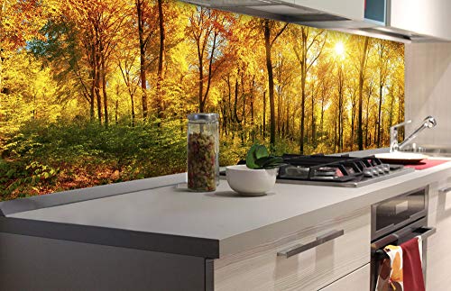 DIMEX Küchenrückwand Folie selbstklebend SONNIGER Wald | Klebefolie - Dekofolie - Spritzschutz für Küche | Made in EU - 180 cm x 60 cm von DIMEX