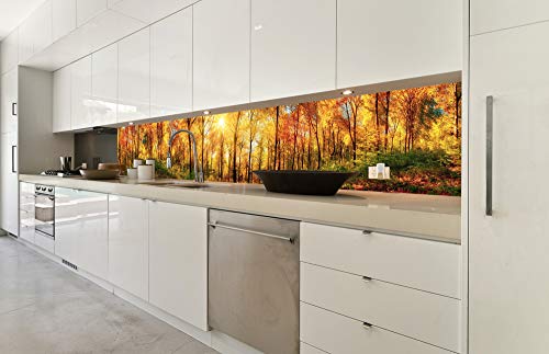 Dimex Küchenrückwand Folie selbstklebend SONNIGER Wald | Klebefolie - Dekofolie - Spritzschutz für Küche | Made in EU - 350 cm x 60 cm Dimex Küchenrückwand Folie selbstklebend SONNIGER Wald | Klebefolie - Dekofolie - Spritzschutz für Küche | Made in EU - 350 cm x 60 cm von Dimex
