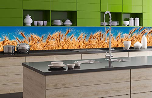DIMEX Küchenrückwand Folie selbstklebend WEIZENFELD | Klebefolie - Dekofolie - Spritzschutz für Küche | Made in EU - 350 cm x 60 cm von DIMEX