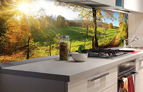 Dimex Küchenrückwand Folie selbstklebend Wiese | Klebefolie - Dekofolie - Spritzschutz für Küche | Made in EU - 180 cm x 60 cm von Dimex