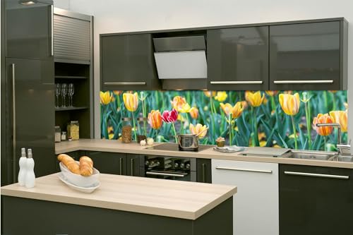 DIMEX Küchenrückwand Folie Selbstklebend FRÜHLINGSLÖWENZAHN 260 x 60 cm | Klebefolie - Dekofolie - Spritzschutz für Küche | Made in EU von DIMEX