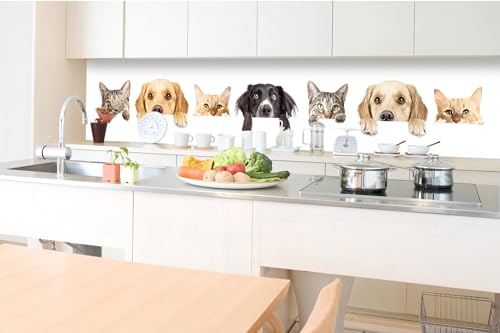 DIMEX Küchenrückwand Folie Selbstklebend Katzen UND Hunde 350 x 60 cm | Klebefolie - Dekofolie - Spritzschutz für Küche | Made in EU von DIMEX