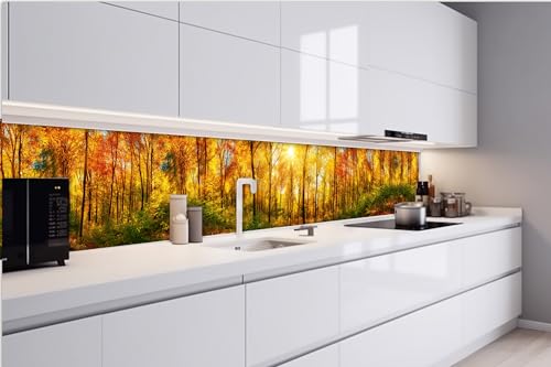 Dimex Küchenrückwand Folie Selbstklebend SONNIGER Wald 420 x 60 cm | Klebefolie - Dekofolie - Spritzschutz für Küche | Made in EU Dimex Küchenrückwand Folie Selbstklebend SONNIGER Wald 420 x 60 cm | Klebefolie - Dekofolie - Spritzschutz für Küche | Made in EU von Dimex