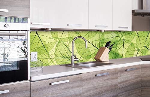 Dimex Küchenrückwand Folie selbstklebend BLATTADERN | Klebefolie - Dekofolie - Spritzschutz für Küche | Made in EU - 260 cm x 60 cm Dimex Küchenrückwand Folie selbstklebend BLATTADERN | Klebefolie - Dekofolie - Spritzschutz für Küche | Made in EU - 260 cm x 60 cm von Dimex