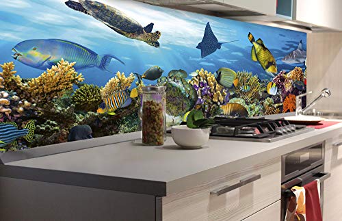 DIMEX Küchenrückwand Folie selbstklebend Fische IM Ozean | Klebefolie - Dekofolie - Spritzschutz für Küche | Made in EU - 180 cm x 60 cm von DIMEX