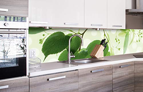 Dimex Küchenrückwand Folie selbstklebend GRÜNE BLÄTTER | Klebefolie - Dekofolie - Spritzschutz für Küche | Made in EU - 260 cm x 60 cm Dimex Küchenrückwand Folie selbstklebend GRÜNE BLÄTTER | Klebefolie - Dekofolie - Spritzschutz für Küche | Made in EU - 260 cm x 60 cm von Dimex