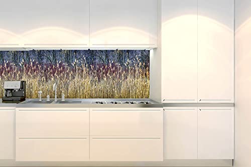 DIMEX Küchenrückwand Folie selbstklebend Winterschilf | Klebefolie - Dekofolie - Spritzschutz für Küche | Made in EU - 180 cm x 60 cm von DIMEX