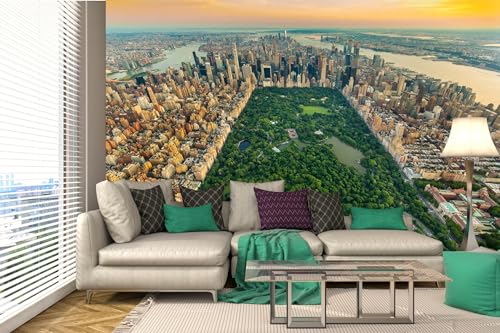 DIMEX Selbstklebende Vliestapete NEW YORK CENTRAL PARK 375 x 250 cm | Selbstklebende Vliestapete | Wandtapete, Wandbilder - Tapete für Wohnzimmer Schlafzimmer, Büro, Küche - Montagefertig von DIMEX
