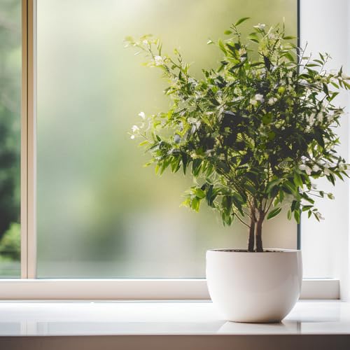 Selbstklebende transparente Folie FEINER Sand [122x300 cm]| Fensterfolie - Dekofolie Privatsphäre | Milchglasfolie Blickdicht Sichtschutzfolie für Zuhause und Büro von Dimex