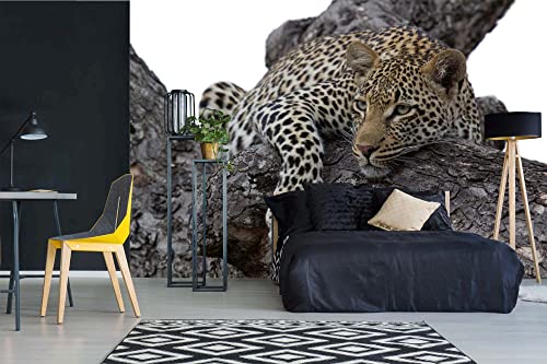 Vlies Fototapete LEOPARD AUF EINEM BAUM 375 x 250 cm (inkl. Kleister) - Vlies Tapete, Wandtapete, Wandbilder - Tapete für Wohnzimmer Schlafzimmer, Büro, Küche - Montagefertig von DIMEX