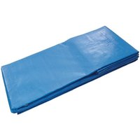 Dimos - Blaue Plane mit Ösen 6m x 4m 220g/m² 408524 von DIMOS