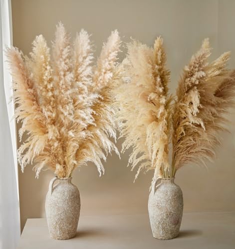 11 Stück Pampasgras Groß,120CM Pampasgras Deko Natürliche und Flauschige, Pampas Grass XXL Getrocknet Bouquet für Tisch Schlafzimmer Hochzeit Wohnzimmer DIY Trockene Trockenblumen von DINGHENG