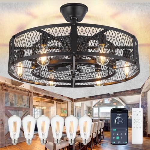 Caged Deckenventilator mit Licht: 26" Bauernhaus Kronleuchter mit Licht und Fernbedienung APP Control - Schwarz Leise DC Motor Rustic Kronleuchter mit Ventilator für Bedroon Küche Wohnzimmer Esszimmer Caged Deckenventilator mit Licht: 26" Bauernhaus Kronleuchter mit Licht und Fernbedienung APP Control - Schwarz Leise DC Motor Rustic Kronleuchter mit Ventilator für Bedroon Küche Wohnzimmer Esszimmer von DINGLILIGHTING