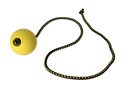 Dingo Gear Ball für Training # 70 mm auf Seil 100 cm schwimmed Ball weich Gummiball Farbe Gelb apport Spiel mit Hund S02700 Dingo Gear Ball für Training # 70 mm auf Seil 100 cm schwimmed Ball weich Gummiball Farbe Gelb apport Spiel mit Hund S02700 von DINGO GEAR WWW.DINGOGEAR.COM 1977