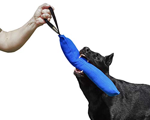 Dingo Gear Baumwolle-Nylon Beißwurst für Hundetraining IGP IPO Obiedence Schutzhund Hundesport, 45 x 8 cm, 1 Griff Blau S00066 von DINGO GEAR WWW.DINGOGEAR.COM 1977