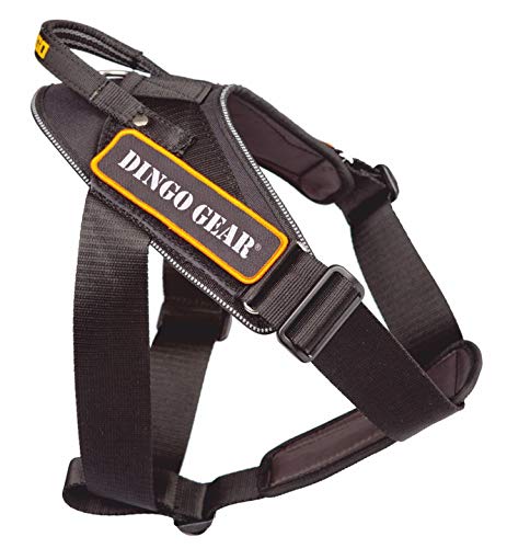 Dingo Gear Hundearbeitsgeschirr aus Stylonband Schwarz Große M Spaziergängen, Patrouillen sowie Trainings S03199 von DINGO GEAR WWW.DINGOGEAR.COM 1977