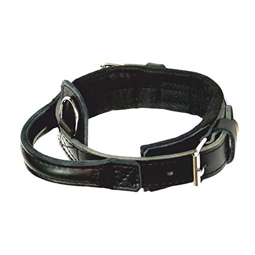 Dingo Gear Hundehalsband Heros aus Leder Große 52-64 cm handgefertigt, starker Griff, verstellbar,Schwarz S04011 von DINGO GEAR WWW.DINGOGEAR.COM 1977