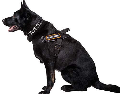 Dingo Gear Geschirr für Hunde in der Arbeit Große M,Training IPO Cobra System, handgefertigt Schwarz S03195 von DINGO GEAR WWW.DINGOGEAR.COM 1977