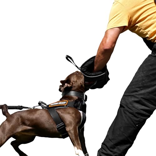 Dingo Gear Schutzarm Extern Mini Soft Weich aus Nylcot Schwarz Bissmanschette Hundeausbildung Hundetraining Bisstraining S01961 von DINGO GEAR WWW.DINGOGEAR.COM 1977