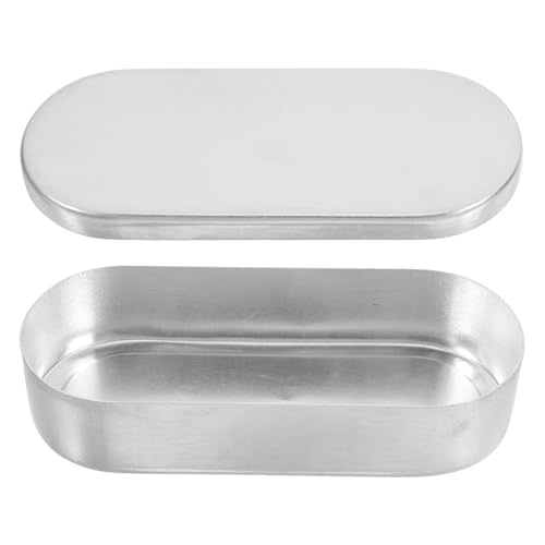 DINHEAROM Aluminium Thermometer Aufbewahrungsbox Multi Funktionsbox für Thermometer Kapazität Elegante und Kompakte Aufbewahrungslösung für Reinigen Transportieren von DINHEAROM