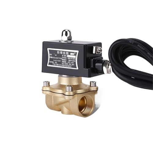 3/4 "messing Explosion Magnetventil Normalerweise Geschlossen Magnetventil For Gas Erdgas(24VDC) von DINJKEZRW