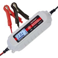 Kraftpaket 136311 Automatikladegerät 12 v, 6 v 0.8 a 3.8 a - Dino von DINO