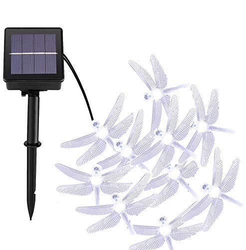 DINOWIN Solar Lichterkette Außen, 20ft 30 LED Libelle Licht,Wasserdichte lichterkette Dekorative für Garten, Party, Hochzeit, Haus,Fest Deko Beleuchtung,8 Beleuchtungsmodi (Weiß) von DINOWIN