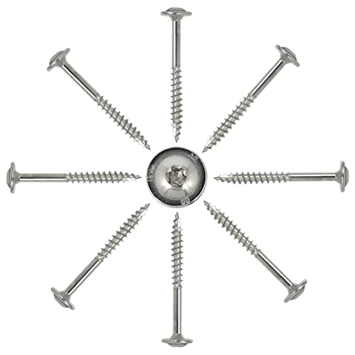 25 Stück Tellerkopfschrauben mit Schneidkerbe 6,0 x 50 mm aus Edelstahl V2A mit ETA Zulassung - Holzschrauben Tellerkopfholzbauschrauben Edelstahl Rostfrei TORX I DIOS24® von DIOS24