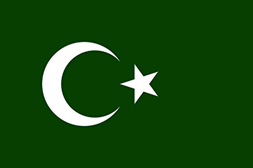 DIPLOMAT Flagge Bosnian Muslim | Querformat Fahne | 0.06m² | 20x30cm für Flags Autofahnen von DIPLOMAT-FLAGS