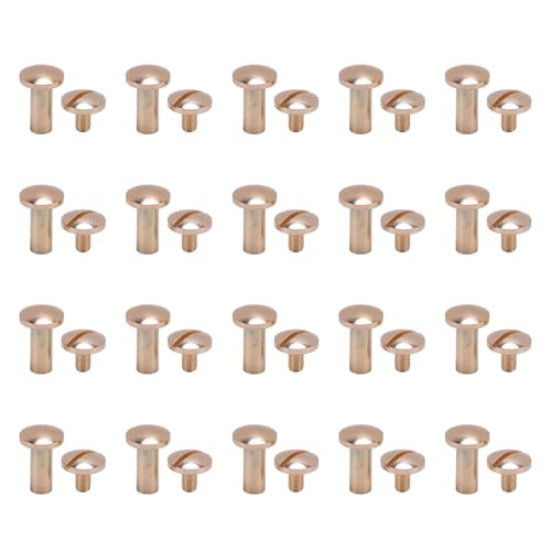 Bookbinding Nieten Sortiertes Kit 20 Set 8 x 10 mm Zinklegierung geschlitzte Hochstärke Nieten und 8 x 5 mm Schrauben für DIY -Handwerkslederprojekte von DIRBAK