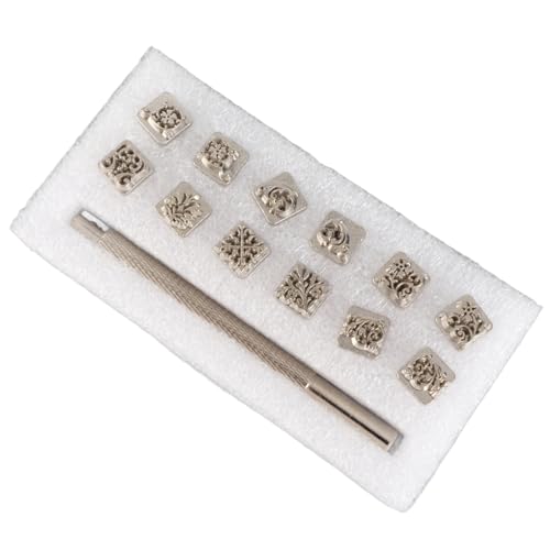 Stamping Punch Tool Kit Tang Dynastie Blumen Design DIY Gemüse Leder Stamper Zinklegierung Material 12pcs mit Griff für Lederhandwerksprojekte von DIRBAK