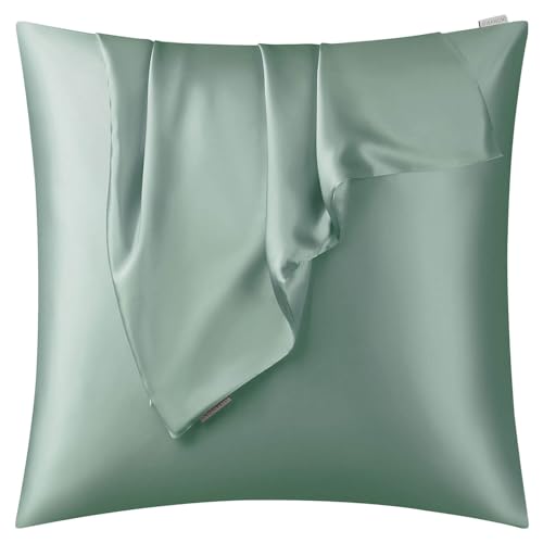 DISANGNI Kissenbezug aus 100 % natürlicher Maulbeerseide für Haar und Haut, mit verstecktem Reißverschluss, beidseitig 22 Momme, echte Seide, 1 Stück, 50 x 60 cm, Hellgrün DISANGNI Kissenbezug aus 100 % natürlicher Maulbeerseide für Haar und Haut, mit verstecktem Reißverschluss, beidseitig 22 Momme, echte Seide, 1 Stück, 50 x 60 cm, Hellgrün von DISANGNI