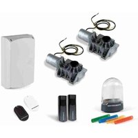 DITCB230PL Automatisierungskit für unterirdisches Doppelflügeltor Ditec entrematic DITCB230PL 230v DITCB230PL Automatisierungskit für unterirdisches Doppelflügeltor Ditec entrematic DITCB230PL 230v von DITEC