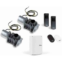 DITCB230PLS Automatisierungskit für unterirdisches Doppelflügeltor Ditec entrematic DITCB230PLS 230 v DITCB230PLS Automatisierungskit für unterirdisches Doppelflügeltor Ditec entrematic DITCB230PLS 230 v von DITEC