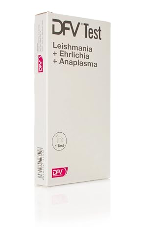 DFV TEST L+E+A 1UD von DIVASATEST