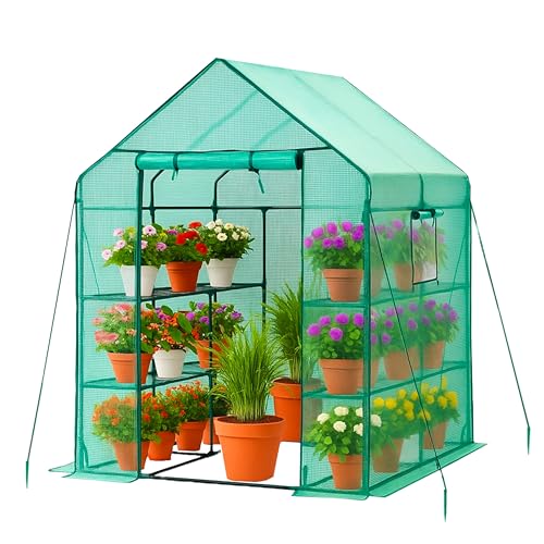 DIVCHI Begehbares Gewächshaus mit 6 Ebenen, wasserdichtes transparentes PVC, robuster Stahlrahmen, ideal für Gemüse & Sämlinge – 143 × 143 × 195 cm (Grün) von DIVCHI