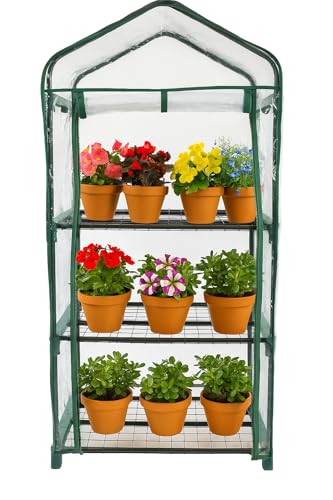 DIVCHI Gewächshaus mit 3 Etagen für den Innen- und Außenbereich, robuster Stahlrahmen, transparente PVC-Abdeckung, ideal für den Anbau von Gemüse, Blumen, Kräutern und Setzlingen von DIVCHI
