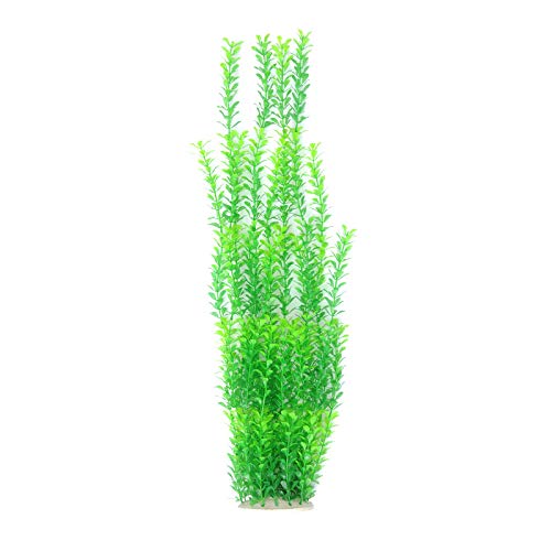 DIVISTAR Künstliche Wasserpflanze für Aquarien, Kunststoff, mit Blumen, 50,8 cm von DIVISTAR