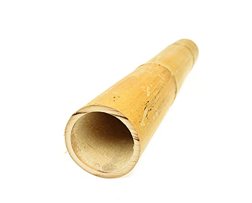 DIXIE STORE Bambus Dekorativ - Dekorative Bambusstange aus Natürlichem Bambus - Bambusstangen Bambusstäbe - Jede von Ihnen ist Einzigartig - als Rankhilfe oder Deko - Größe 190 cm 100/120 mm von DIXIE STORE