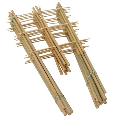 DIXIE STORE Rankgitter Bambus Set 10 Stück Länge 60 cm - Tomaten Rankhilfe Gurken - Rankhilfen für Kletterpflanzen Gurken Rankhilfe Tomaten - Rankenhilfe für Pflanzen Topf 3S von DIXIE STORE