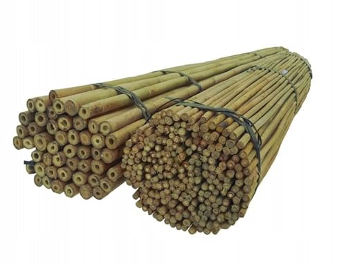 DIXIE STORE Bambusstäbe - Bambusstangen Set Blumenstützen - Robuste Pflanzenstäben aus Bambus 120 cm 14/16 mm 100 Stück Holzstäbchen Rund - Bambus Pflanze Bambus Stöcke Pflanzen Stütze von DIXIE STORE