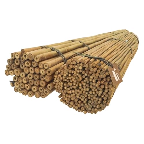 DIXIE STORE Bambusstäbe - Bambusstangen Set Blumenstützen - Robuste Pflanzenstäben aus Bambus 120 cm 14/16 mm 200 Stück Holzstäbchen Rund - Bambus Pflanze Bambus Stöcke Pflanzen Stütze von DIXIE STORE