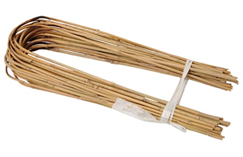 DIXIE STORE Gebogener Bambus Bambusstifte Natürliche - für Pflanzen Dekoratives Element Rankhilfe Clematis Efeu oder Orchideen Pflanzstäbe Stäbe - Größe 75 cm 8/10 mm Inhalt 100 Stück von DIXIE STORE