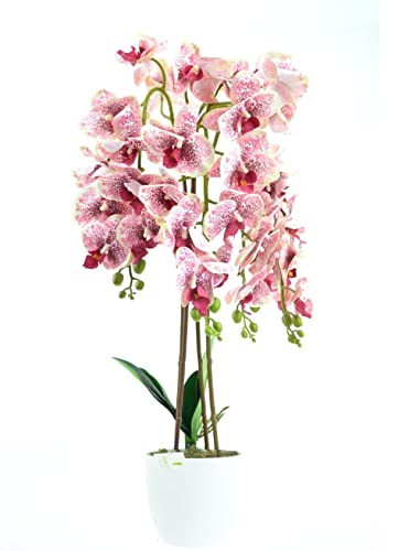 DIXIE STORE Kunstpflanze Orchidee | Künstliche Orchidee im Topf, wie echt, 70 cm, 4 Zweige, Zahlreiche Blumen, Dicht, Rosa von DIXIE STORE
