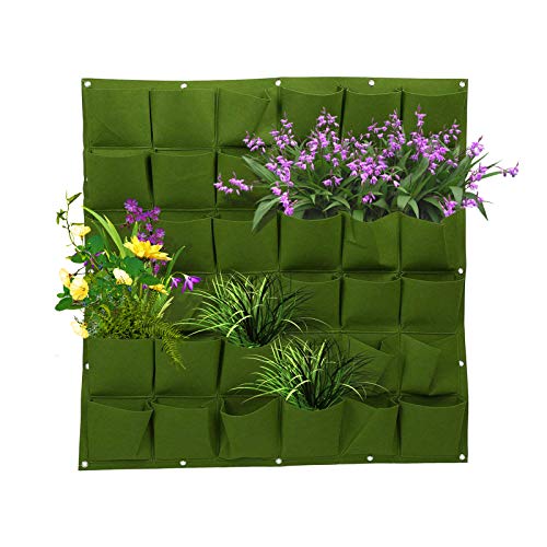 DIYARTS Kulturbeutel, Wandhalterung, für Pflanzen im Freien, 36 Taschen, vertikaler Blumenkasten für Leguminosen (grün) von DIYARTS