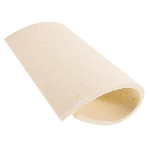 DIYEAH 1 Blatt Schwammmatte Der Heißen Malereimaschine Presspad Schaum Material Kissen Beständig Pads Unterlage Isoliermatte Schwamm-isolierpad Professionelle Dämmmatte Weiß von DIYEAH