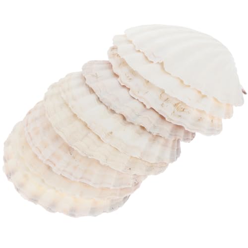 DIYEAH 10 Stück Natürliche Teller Wiederverwendbare Muschelform Essgeschirr für DIY Wanddekoration und Aquarien für Esszimmer und Natur Dekoration von DIYEAH