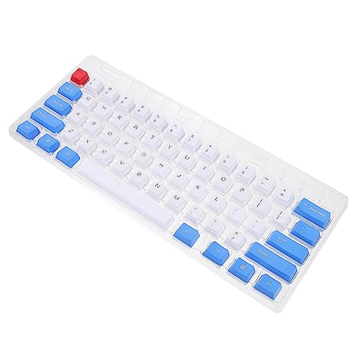 DIYEAH 1Satz Teiliges Pbt Doppelfarben Schlüsselkappen Für Mechanische Tastaturen Kompatibel Mit Layout Frosted Design Für Gaming Büro Langlebig von DIYEAH